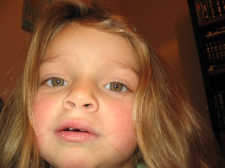 from dig camera 029.jpg